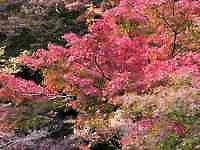 sN̉Ԃ炢Ă

AI Rec͌܂މ\܂B