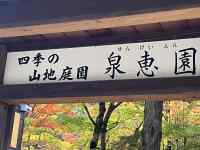 J_[ ܂܂Ă摜

AI Rec͌܂މ\܂B