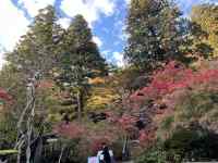 XɐAĂ

AI Rec͌܂މ\܂B