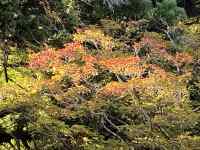 Ă

AI Rec͌܂މ\܂B