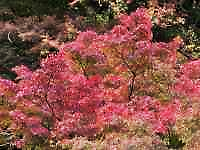 sN̉Ԃ炢Ă

AI Rec͌܂މ\܂B