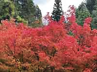 XɐAĂ

AI Rec͌܂މ\܂B