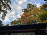 , er, , 傫 ܂܂Ă摜

AI Rec͌܂މ\܂B