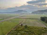 ΂̋u

AI Rec͌܂މ\܂B