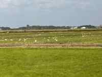 ̏ɂ

AI Rec͌܂މ\܂B