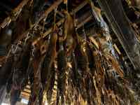 ؂̎}

AI Rec͌܂މ\܂B