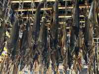 O, H,  ܂܂Ă摜

AI Rec͌܂މ\܂B