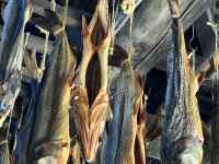 ؂̎}

AI Rec͌܂މ\܂B