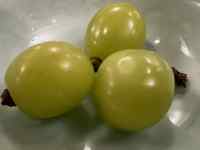 JE^[̏ɂ郊S

AI Rec͌܂މ\܂B