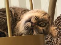 L̊̃R[W

AI Rec͌܂މ\܂B