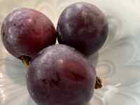 �e�[�u���̏�ɂ��郊���S

AI �����R���e���c�͌����܂މ\��������܂��B