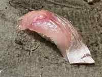 ���� ���܂܂�Ă���摜

AI �����R���e���c�͌����܂މ\��������܂��B