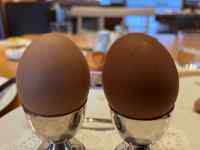 ���C���ƃ��C���O���X

AI �����R���e���c�͌����܂މ\��������܂��B