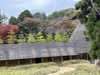 �X�̒��̋�

AI �����R���e���c�͌����܂މ\��������܂��B