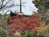 �X�̒��̖�

AI �����R���e���c�͌����܂މ\��������܂��B