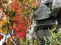 �؂̊��̎ʐ^

AI �����R���e���c�͌����܂މ\��������܂��B