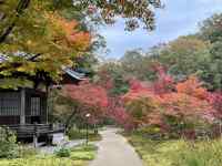 �؁X�̊Ԃ𗬂���

AI �����R���e���c�͌����܂މ\��������܂��B