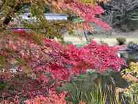 �Ԃ��炢�Ă����

AI �����R���e���c�͌����܂މ\��������܂��B