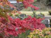 �Ԃ��炢�Ă����

AI �����R���e���c�͌����܂މ\��������܂��B