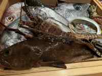 ����, �H�i, �e�[�u��, �ؐ� ���܂܂�Ă���摜

AI �����R���e���c�͌����܂މ\��������܂��B