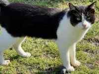 ���̏�ɂ���L

AI �����R���e���c�͌����܂މ\��������܂��B