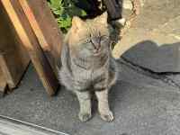 ���O�ɗ����Ă���L

AI �����R���e���c�͌����܂މ\��������܂��B