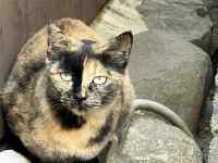 ������グ�Ă���L

AI �����R���e���c�͌����܂މ\��������܂��B