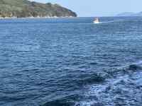 �C�ɕ����ԓ�

AI �����R���e���c�͌����܂މ\��������܂��B