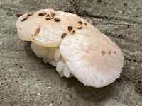 �H�i, ����, �������, ������ ���܂܂�Ă���摜

AI �����R���e���c�͌����܂މ\��������܂��B