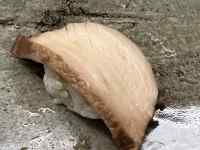 ���O, ����, �H�i, �T���h�C�b�` ���܂܂�Ă���摜

AI �����R���e���c�͌����܂މ\��������܂��B