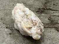 ���O, �L, ����, �� ���܂܂�Ă���摜

AI �����R���e���c�͌����܂މ\��������܂��B