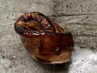 ����, �e�[�u��, �H�i, ���F ���܂܂�Ă���摜

AI �����R���e���c�͌����܂މ\��������܂��B