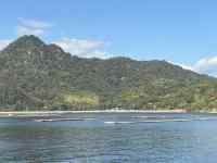 �R�ƌ΂̕��i

AI �����R���e���c�͌����܂މ\��������܂��B