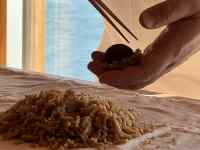 ��, �e�[�u��, ��, �j ���܂܂�Ă���摜

AI �����R���e���c�͌����܂މ\��������܂��B