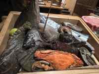 ����, ����, �H�i, �e�[�u�� ���܂܂�Ă���摜

AI �����R���e���c�͌����܂މ\��������܂��B