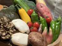 �t���[�c�Ɩ��

AI �����R���e���c�͌����܂މ\��������܂��B