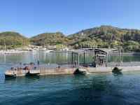 �΂ɕ�����ł���D

AI �����R���e���c�͌����܂މ\��������܂��B