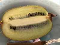 ����, �e�[�u��, ����, �H�i ���܂܂�Ă���摜

AI �����R���e���c�͌����܂މ\��������܂��B