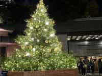 �Ƃ̒�

AI �����R���e���c�͌����܂މ\��������܂��B