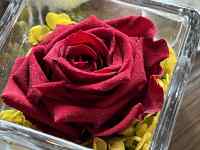 �H�i, �e��, �e�[�u��, �v���X�`�b�N ���܂܂�Ă���摜

AI �����R���e���c�͌����܂މ\��������܂��B