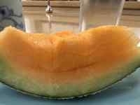 �M�̏�̃I�����W

AI �����R���e���c�͌����܂މ\��������܂��B