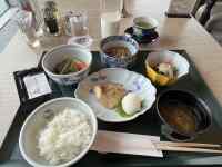 �e�[�u���̏�ɂ��邢���ȗ���

AI �����R���e���c�͌����܂މ\��������܂��B