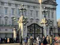 ����̌���

AI �����R���e���c�͌����܂މ\��������܂��B