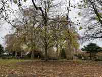 �X�̒��̖�

AI �����R���e���c�͌����܂މ\��������܂��B