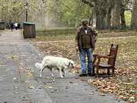 ��������r�̌Q��

AI �����R���e���c�͌����܂މ\��������܂��B