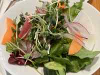 �M�̏�ɂ���T���_

AI �����R���e���c�͌����܂މ\��������܂��B