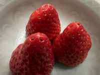 �M�̏�ɂ���t���[�c

AI �����R���e���c�͌����܂މ\��������܂��B