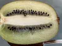 ����, �e�[�u��, ����, �t���[�c ���܂܂�Ă���摜

AI �����R���e���c�͌����܂މ\��������܂��B