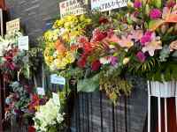 �X�̏�ɂ��鐔��ނ̉�

AI �����R���e���c�͌����܂މ\��������܂��B