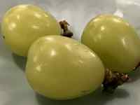 ����, �e�[�u��, �H�i, ���� ���܂܂�Ă���摜

AI �����R���e���c�͌����܂މ\��������܂��B